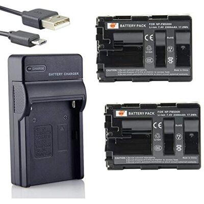 DSTE NP-FM500H Li-Ion Batería (2-Pack) y Cargador USB para Sony A57, A58, A65, A65V, A77, A77V, A99 DSTE NP-FM500H Li-Ion Batería (2-Pack) y Cargador USB para Sony A57, A58, A65, A65V, A77, A77V, A99