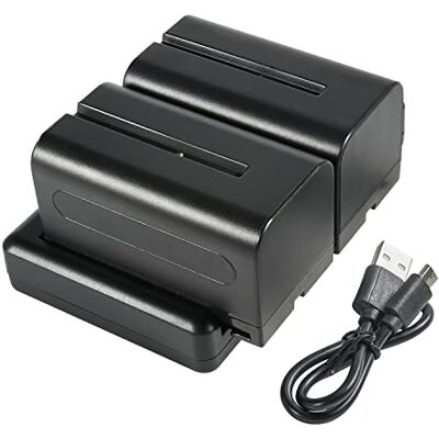 DSTE NP-F750 F770 (2 unidades) Batería recargable de repuesto y cargador dual compatible con Sony NP-F550,F730,F970,CCD-RV100 CCD-RV200 CCD-SC5 CCD-SC55E Cámara,Videocámara,npf Cargador de batería, etc DSTE NP-F750 F770 (2 unidades) Batería recargable de repuesto y cargador dual compatible con Sony NP-F550,F730,F970,CCD-RV100 CCD-RV200 CCD-SC5 CCD-SC55E Cámara,Videocámara,npf Cargador de batería, etc