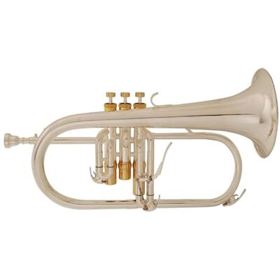 soundman Cuerno de ala en B (bañado en plata), incluye estuche, boquilla y accesorios de cuidado soundman Cuerno de ala en B (bañado en plata), incluye estuche, boquilla y accesorios de cuidado
