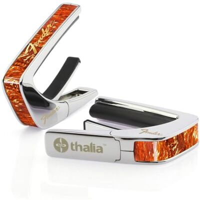 Thalia Cejilla para guardabarros, tortuga, logotipo de perino Thalia Cejilla para guardabarros, tortuga, logotipo de perino