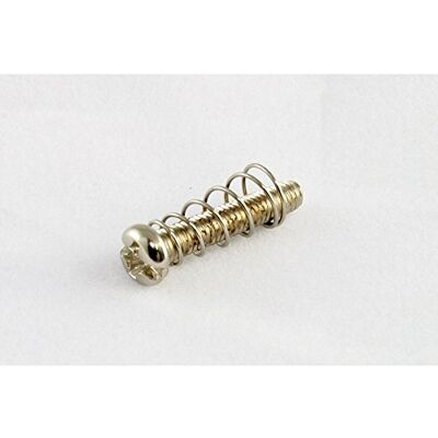 Allparts ' GS 3324 – 001 "entonación Tornillos níquel y pequeñas piezas de repuesto para guitarra eléctrica Allparts ' GS 3324 – 001 "entonación Tornillos níquel y pequeñas piezas de repuesto para guitarra eléctrica