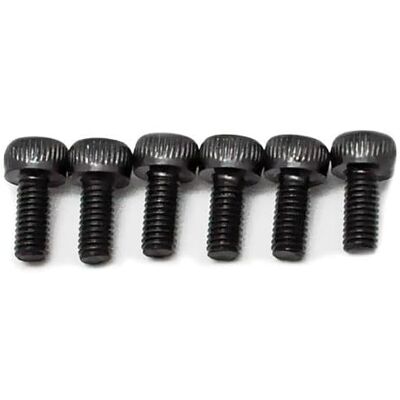 Floyd Rose FRNFTSMSBP Afinador no fino Saddle Mounting Screws (6) Floyd Rose FRNFTSMSBP Afinador no fino Saddle Mounting Screws (6)