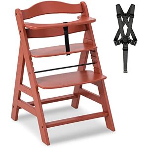 hauck Alpha Plus Trona Evolutiva Madera de Haya Certificada FSC® Sillas Tronas para Bebé desde 6 Meses hasta 90 kg Incluye Arnés de 5 Puntos y Barra Protectora Teja hauck Alpha Plus Trona Evolutiva Madera de Haya Certificada FSC® Sillas Tronas para Bebé desde 6 Meses hasta 90 kg Incluye Arnés de 5 Puntos y Barra Protectora Teja