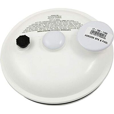 Pentair Filtro de Cartucho de Repuesto para Piscina y SPA Dynamic Series II y III RTL/RCF Pentair Filtro de Cartucho de Repuesto para Piscina y SPA Dynamic Series II y III RTL/RCF