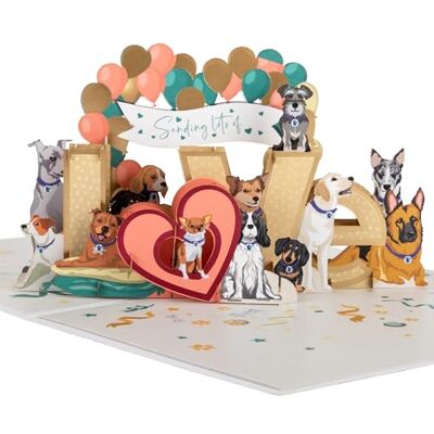 Cardology – Tarjeta de amor con perros enamorados – tarjeta desplegable 3D Cardology – Tarjeta de amor con perros enamorados – tarjeta desplegable 3D