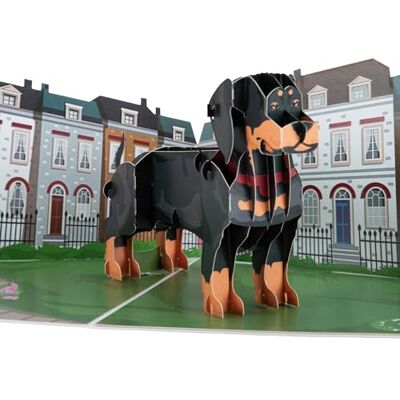 Cardology – Tarjeta de cumpleaños con teckel – tarjeta desplegable 3D Cardology – Tarjeta de cumpleaños con teckel – tarjeta desplegable 3D