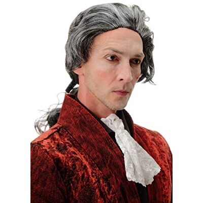 WIG ME UP - 4287-P103-68 Peluca Halloween Carnava Barroco Gris Marengo Noble Poeta condo Dracula Vampiro WIG ME UP - 4287-P103-68 Peluca Halloween Carnava Barroco Gris Marengo Noble Poeta condo Dracula Vampiro
