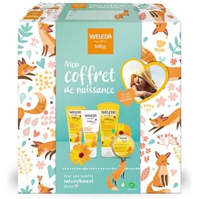 WELEDA – Estuche de regalo para nacimiento – Cuidado suave para el baño diario – Limpia y protege – NATRUE – 200 ml + 75 ml + 50 ml + 25 g WELEDA – Estuche de regalo para nacimiento – Cuidado suave para el baño diario – Limpia y protege – NATRUE – 200 ml + 75 ml + 50 ml + 25 g