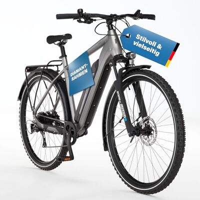 Fischer E-ATB Active Terra 2.2, Bicicleta eléctrica para Hombre y Mujer, RH 55, 459 WH, Motor Trasero 50 NM, 48 V Fischer E-ATB Active Terra 2.2, Bicicleta eléctrica para Hombre y Mujer, RH 55, 459 WH, Motor Trasero 50 NM, 48 V