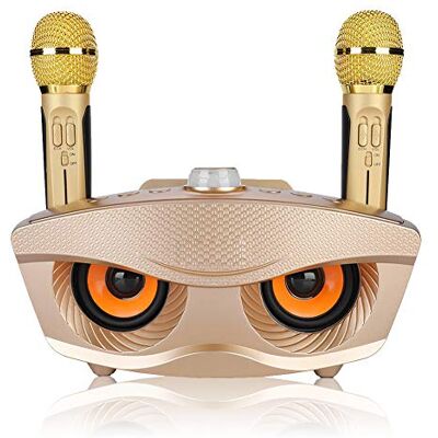 Bewinner Altavoz Portátil Inálambrico de Karaoke con Dos Micrófono,Bocina Bluetooth 4.2 con 1800mAh Batería Incorporado para Fiesta en Casa/KTV, Mejor Regalo, Soporte Tarjeta TF,AUX,FM,Disco U Bewinner Altavoz Portátil Inálambrico de Karaoke con Dos Micrófono,Bocina Bluetooth 4.2 con 1800mAh Batería Incorporado para Fiesta en Casa/KTV, Mejor Regalo, Soporte Tarjeta TF,AUX,FM,Disco U