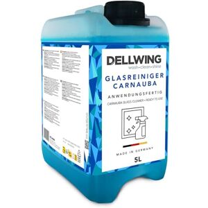 DELLWING Limpiador de cristales Carnauba 5 l, limpiacristales con sellado, ideal para vidrio, espejos y azulejos, limpiador de ventanas, fabricado en Alemania DELLWING Limpiador de cristales Carnauba 5 l, limpiacristales con sellado, ideal para vidrio, espejos y azulejos, limpiador de ventanas, fabricado en Alemania