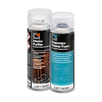 ERRECOM Total Care, Tratamiento purificador Completo para Sistemas de climatización de los autovehículos y habitáculos, Fragancia a Oud, 2 Botes de 200 mL ERRECOM Total Care, Tratamiento purificador Completo para Sistemas de climatización de los autovehículos y habitáculos, Fragancia a Oud, 2 Botes de 200 mL