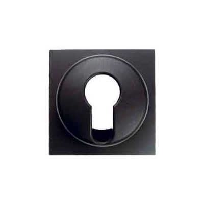 Hager Tapa int./puls. llave S/B antracita Hager Tapa int./puls. llave S/B antracita