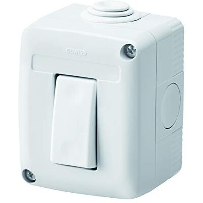 Gewiss Caja completa de dispositivos serie System protegida, con interruptor unipolar 16 AX, IP40, gris Ral 7035 Gewiss Caja completa de dispositivos serie System protegida, con interruptor unipolar 16 AX, IP40, gris Ral 7035