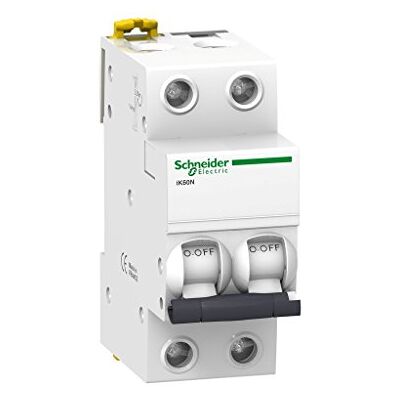 Interruptor Automático Schneider Electric - 2P 40A Curva C - Montaje DIN Interruptor Automático Schneider Electric - 2P 40A Curva C - Montaje DIN