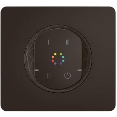 Legrand – Control inalámbrico de iluminación multicolor, Céliane With Netatmo, control de hasta 20 iluminaciones, instalación sin daños en las paredes, viene con batería reemplazable de 8 años Legrand – Control inalámbrico de iluminación multicolor, Céliane With Netatmo, control de hasta 20 iluminaciones, instalación sin daños en las paredes, viene con batería reemplazable de 8 años