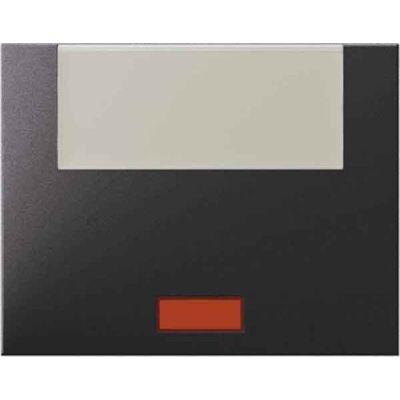 Hager Tecla con porta rotulo grande lente antracita Hager Tecla con porta rotulo grande lente antracita