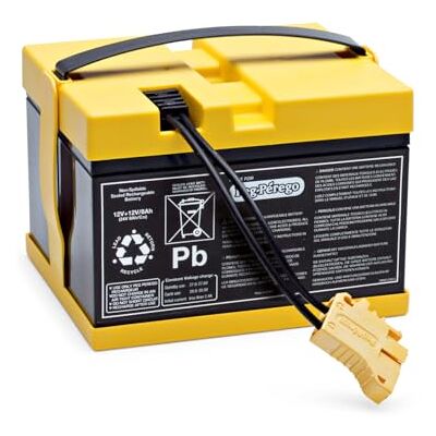 Peg Perego Peg Batería 24V/8Ah Repuesto Original Recargable para Vehículos Eléctricos Peg Perego Peg Batería 24V/8Ah Repuesto Original Recargable para Vehículos Eléctricos