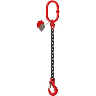 Dolezych DoKett Cadena de 1 hebra para grúas con gancho de horquilla, grado 8, capacidad de carga de 1120 kg Dolezych DoKett Cadena de 1 hebra para grúas con gancho de horquilla, grado 8, capacidad de carga de 1120 kg