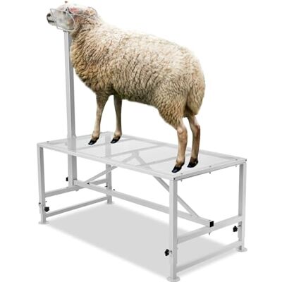 VEVOR Soporte para Ganado de 1195 x 584 mm, Soporte para Cabras y Ovejas, Soporte de Metal para Ordeño y Esquila de Ganado de 533-838 mm de Altura Ajustable con Tocado y Bucle para la Nariz, Blanco VEVOR Soporte para Ganado de 1195 x 584 mm, Soporte para Cabras y Ovejas, Soporte de Metal para Ordeño y Esquila de Ganado de 533-838 mm de Altura Ajustable con Tocado y Bucle para la Nariz, Blanco