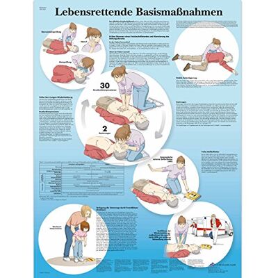 3B Scientific – Póster explicativo sobre laminado – vida Starrett Extremo Base Medidas 3B Scientific – Póster explicativo sobre laminado – vida Starrett Extremo Base Medidas