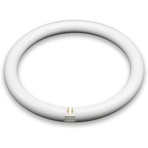 Glowster 2601827 TUBO CIRCULAR LED 15W 6500K 215mm F-BRIGHT Glowster 2601827 TUBO CIRCULAR LED 15W 6500K 215mm F-BRIGHT