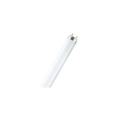 SYLVANIA Neon T8 Grolux 18 W/60 cm (unidad) SYLVANIA Neon T8 Grolux 18 W/60 cm (unidad)