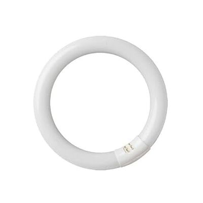 gsc evolution Tubo fluorescente circular 22W T9 6400K GSC gsc evolution Tubo fluorescente circular 22W T9 6400K GSC