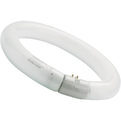 WatioWave Luz fluorescente circular 40W 6500K, eficiente para iluminación general, ideal para oficinas y espacios comerciales. WatioWave Luz fluorescente circular 40W 6500K, eficiente para iluminación general, ideal para oficinas y espacios comerciales.