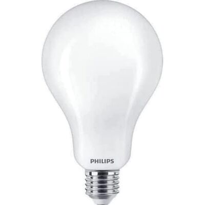 Philips Lighting Bombilla LED cristal 200W A95 E27 luz blanca fría, mate, no regulable Philips Lighting Bombilla LED cristal 200W A95 E27 luz blanca fría, mate, no regulable