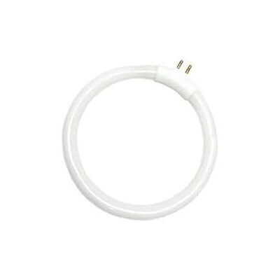 EDM LTDE Tubo fluorescente circular T4 12W 138mm G5 6400K EDM LTDE Tubo fluorescente circular T4 12W 138mm G5 6400K