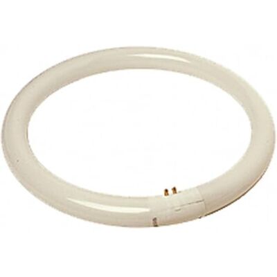 gsc evolution Tubo fluorescente circular T9 40W G10q 6400K gsc evolution Tubo fluorescente circular T9 40W G10q 6400K