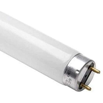 Philips Tubo fluorescente 865 de luz diurna de 18 W T8 de 600 mm Philips Tubo fluorescente 865 de luz diurna de 18 W T8 de 600 mm