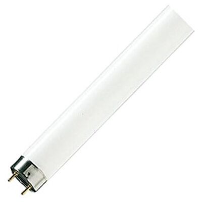 Philips Lámpara fluorescente master tld super 80 36w/840 slv/25 Philips Lámpara fluorescente master tld super 80 36w/840 slv/25