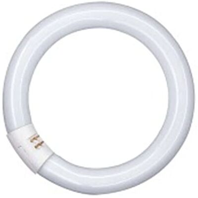 OSRAM Lumilux T9 Tubo Fluorescente GR10q, 22 W, Blanco (Cool White), 21.6 cm OSRAM Lumilux T9 Tubo Fluorescente GR10q, 22 W, Blanco (Cool White), 21.6 cm