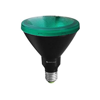BENEITO FAURE PAR 38 R-LINE VERDE 15W E27 220V 30º 190Lm BENEITO FAURE PAR 38 R-LINE VERDE 15W E27 220V 30º 190Lm