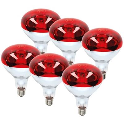 VZLED Pack 6 Bombilla Infrarroja E27 250W Cristal Rojo Ø125mm Invernaderos, Incubadoras, Terapia Muscular y Calentamiento de Alimentos Pack 6 Unidades VZLED Pack 6 Bombilla Infrarroja E27 250W Cristal Rojo Ø125mm Invernaderos, Incubadoras, Terapia Muscular y Calentamiento de Alimentos Pack 6 Unidades