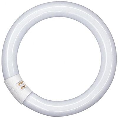 WatioWave Lámpara Fluorescente Circular 22W 4000K, alta eficiencia energética, larga duración; ideal para iluminación de espacios comerciales y oficinas. WatioWave Lámpara Fluorescente Circular 22W 4000K, alta eficiencia energética, larga duración; ideal para iluminación de espacios comerciales y oficinas.