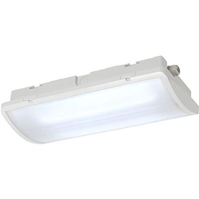 SLV luminaria de superficie de pared y techo P-LIGHT/Iluminación para paredes, caminos, entradas, lámpara de jardín, proyector de techo / IP65 6000 K 6,5 W 100lm 110 grados SLV luminaria de superficie de pared y techo P-LIGHT/Iluminación para paredes, caminos, entradas, lámpara de jardín, proyector de techo / IP65 6000 K 6,5 W 100lm 110 grados