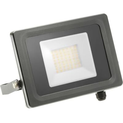 GTV Foco Proyector LED VIPER, 30W 2700lm, Luz Neutra 4000K, IP65 para Exterior, Ángulo 120, Cuerpo de Aluminio, Iluminación de Seguridad, Gris GTV Foco Proyector LED VIPER, 30W 2700lm, Luz Neutra 4000K, IP65 para Exterior, Ángulo 120, Cuerpo de Aluminio, Iluminación de Seguridad, Gris