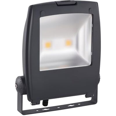 Eglo LED Foco Gambettola Pro, lámpara exterior con soporte, luz de exterior de aluminio en antracita, vidrio transparente, luz blanca fría, IP65 Eglo LED Foco Gambettola Pro, lámpara exterior con soporte, luz de exterior de aluminio en antracita, vidrio transparente, luz blanca fría, IP65