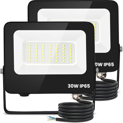Aigostar Foco Led Exterior 30w 2450 lúmen,Luces Led Exterior Impermeable IP65,Proyector LED Exterior Blanco Frío 6500K para Jardín,Patio,Garaje,Parque, 2 piezas Aigostar Foco Led Exterior 30w 2450 lúmen,Luces Led Exterior Impermeable IP65,Proyector LED Exterior Blanco Frío 6500K para Jardín,Patio,Garaje,Parque, 2 piezas