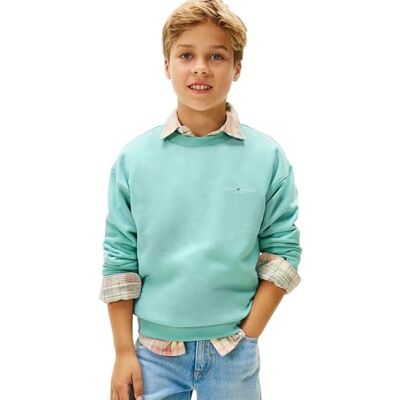 Tommy Hilfiger Sudadera Infantil Unisex Corp C-Neck con Cinturilla de Punto Acanalado, Turquesa (Ocean Spray), 4 Años Tommy Hilfiger Sudadera Infantil Unisex Corp C-Neck con Cinturilla de Punto Acanalado, Turquesa (Ocean Spray), 4 Años