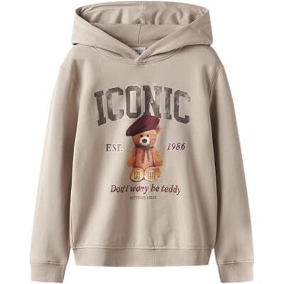 NAME IT Nkfrycca LS Nreg Sweat WH BRU Box, Gris, 122-128 para Niñas NAME IT Nkfrycca LS Nreg Sweat WH BRU Box, Gris, 122-128 para Niñas