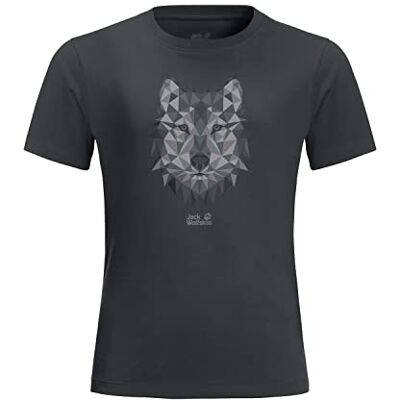 Jack Wolfskin Brand Wolf T K Camiseta Unisex para niño, Verde Oscuro, 12 años Jack Wolfskin Brand Wolf T K Camiseta Unisex para niño, Verde Oscuro, 12 años