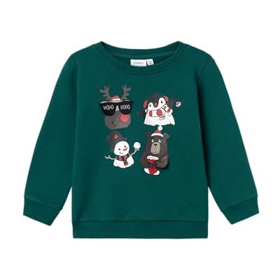 NAME IT NMMRSANTA NREG Sweat BRU Box, Sudadera Niños, Botanical Garden, NAME IT NMMRSANTA NREG Sweat BRU Box, Sudadera Niños, Botanical Garden,