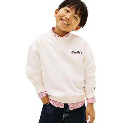 Tommy Hilfiger Monotype Graphic Sweatshirt Kb0kb10255 Sudaderas, White (Ancient White), 4 años para Niños Tommy Hilfiger Monotype Graphic Sweatshirt Kb0kb10255 Sudaderas, White (Ancient White), 4 años para Niños