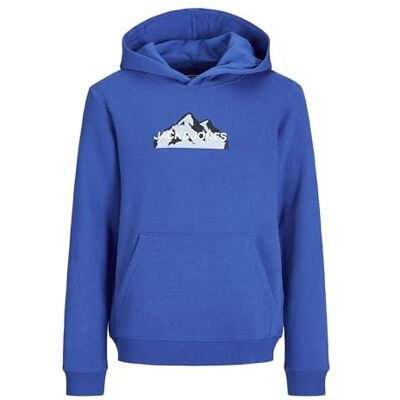 Jack & Jones Mountain Logo Sn Mni Hoodie - Sudadera con capucha Jack & Jones Mountain Logo Sn Mni Hoodie - Sudadera con capucha