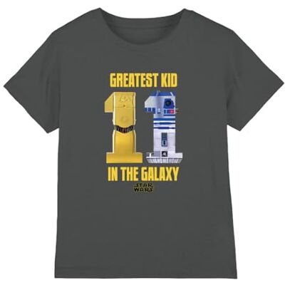Star Wars Greatest Kid C3po R2d2 Unisex Kids T Shirt Camiseta, Gris Oscuro, 12-13 años para Niños Star Wars Greatest Kid C3po R2d2 Unisex Kids T Shirt Camiseta, Gris Oscuro, 12-13 años para Niños