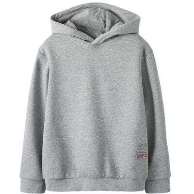 NAME IT Nkmkikolai LS Nreg Hood Swe BRU WH Box, Gris, 134-140 para Niños NAME IT Nkmkikolai LS Nreg Hood Swe BRU WH Box, Gris, 134-140 para Niños
